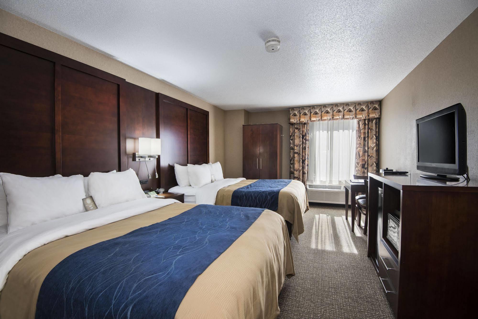 Comfort Inn & Suites Конуей Екстериор снимка